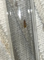 IMG_5839.jpeg