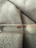 IMG_0978.jpeg