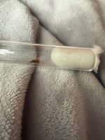 IMG_0980.jpeg