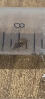 IMG_2290.jpeg