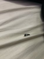 IMG_1400.jpeg