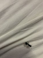 IMG_1399.jpeg