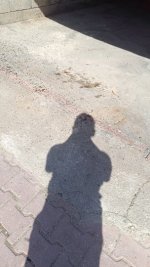 IMG_20250315_112648.jpg