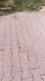 IMG_20250315_112646.jpg