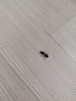 IMG_20250315_135543.jpg