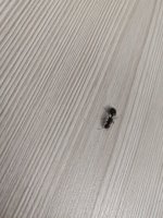 IMG_20250315_135554.jpg
