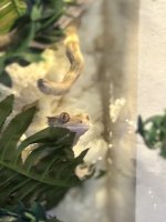 IMG_3388.jpeg
