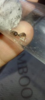 20250226_105526.jpg