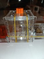 IMG_20250320_130854.jpg