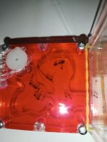 IMG_20250320_130850.jpg