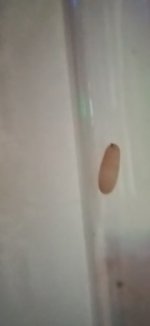 20250321_164556.jpg