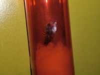 IMG_20250322_162107.jpg