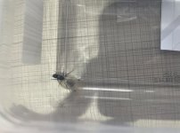 IMG_6380.jpeg