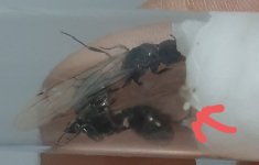 20250323_225725.jpg