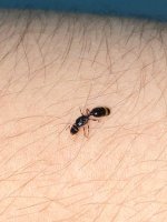 WhatsApp Görsel 2025-03-24 saat 00.00.34_f6e80f35.jpg