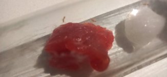 20250316_173758.jpg