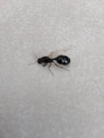 WhatsApp Image 2025-03-24 at 16.30.46 (2).jpeg