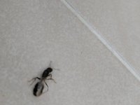 WhatsApp Image 2025-03-24 at 16.30.46 (1).jpeg