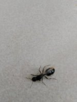 WhatsApp Image 2025-03-24 at 16.30.46.jpeg