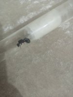 IMG_20250324_193212_529.jpg