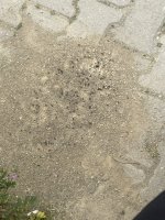 IMG_7869.jpeg