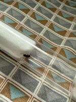 IMG_1044.jpeg