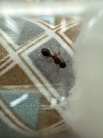 IMG_1050.jpeg