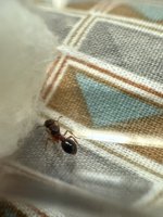 IMG_1049.jpeg