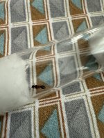 IMG_1048.jpeg