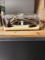 IMG_0996.jpeg