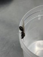 IMG_0901.jpeg