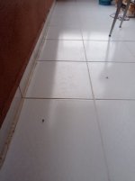 WhatsApp Image 2025-03-27 at 00.23.20.jpeg