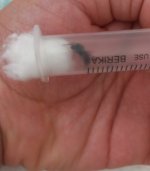 20250327_084432.jpg