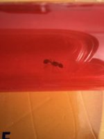 IMG_1058.jpeg