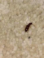 3e873cff-497d-4896-9b77-34be395e54c5.jpeg