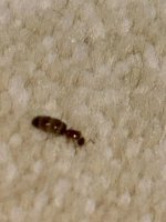 3d27be7b-5201-48cf-bdaa-827b2d1f09e7.jpeg