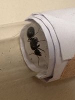 IMG_7542.jpeg