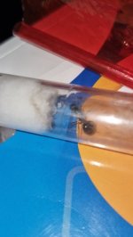 20250110_183557.jpg