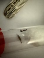 IMG_1122.jpeg