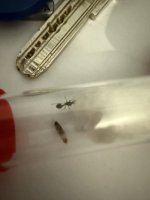 IMG_1121.jpeg