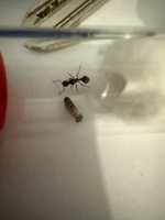 IMG_1120.jpeg