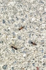 IMG_1655.jpeg