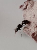IMG_20250408_162007.jpg