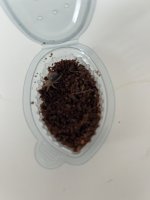 IMG_2543.jpeg