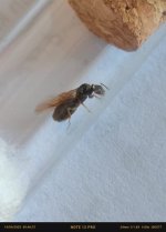 IMG_20250414_094636.jpg