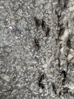 IMG_2998.jpeg
