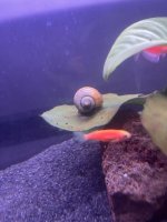 IMG_0333.jpeg