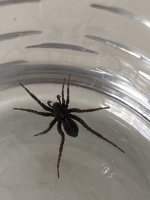 IMG_7203.jpeg
