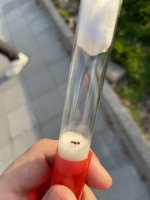 IMG_2551.jpeg