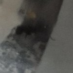 D26AF197-A740-4C64-9776-D8FFB12C35DF.jpeg